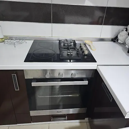 Bear Apartment *